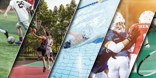 [网球]比利时队晋级戴维斯杯四强